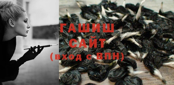 шишки Снежногорск